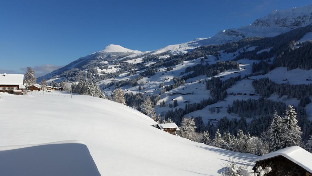 Hotel Crea Adelboden Esterno foto